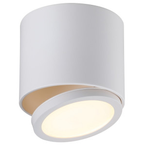 Спот Canicatt OML-20501-01